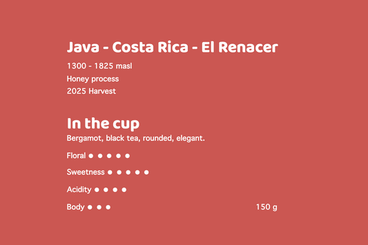 Java - Costa Rica - El Renacer