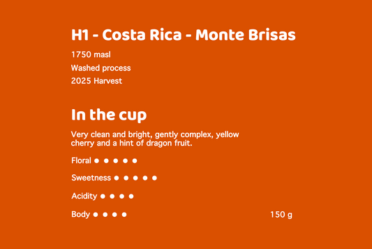 H1 - Costa Rica - Monte Brisas