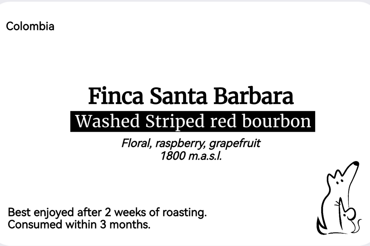 Striped red bourbon - Colombia - Santa Barbara