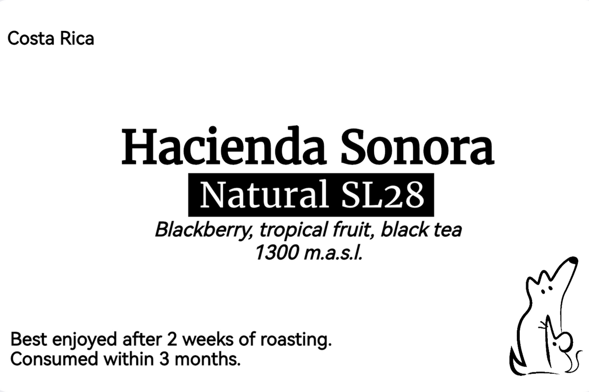 SL28 - Costa Rica - Hacienda Sonora