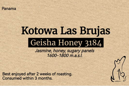 Panama Geisha Honey - Kotowa (Las Brujas) [Competition lot]